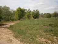 Дем'янка-Наддністрянська - Останні фото