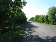 Баланівка з panoramio.com