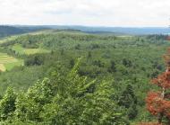 ПАНОРАМИ ОКОЛИЦЬ