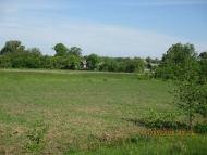 Головлі - Останні фото