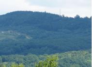 ПАНОРАМИ ОКОЛИЦЬ