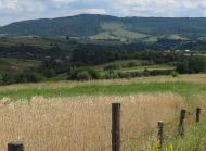 ПАНОРАМИ ОКОЛИЦЬ