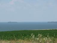 БОРОДАЇВСЬКИЙ ПЛАЦДАРМ