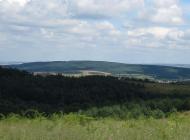 ПАНОРАМИ ОКОЛИЦЬ