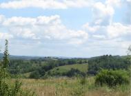 ПАНОРАМИ ОКОЛИЦЬ