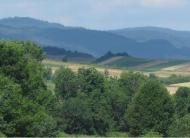 ПАНОРАМИ ОКОЛИЦЬ