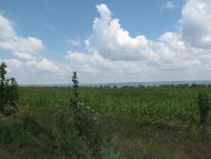 БОРОДАЇВСЬКИЙ ПЛАЦДАРМ