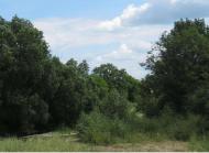 ПАНОРАМИ ОКОЛИЦЬ