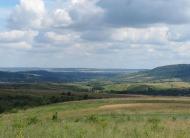 ПАНОРАМИ ОКОЛИЦЬ