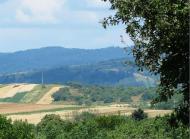 ПАНОРАМИ ОКОЛИЦЬ