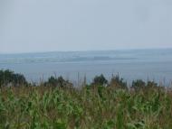 БОРОДАЇВСЬКИЙ ПЛАЦДАРМ