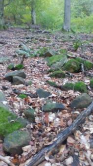 НПП 'СИНЕВИР'