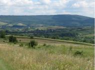 ПАНОРАМИ ОКОЛИЦЬ