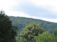 ПАНОРАМИ ОКОЛИЦЬ