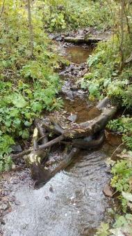 НПП 'СИНЕВИР'