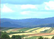 ПАНОРАМИ ОКОЛИЦЬ