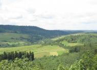 ПАНОРАМИ ОКОЛИЦЬ