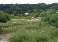 ПАНОРАМИ ОКОЛИЦЬ