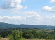 ПАНОРАМИ ОКОЛИЦЬ