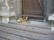 Костел святого Станіслава