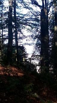 НПП 'СИНЕВИР'