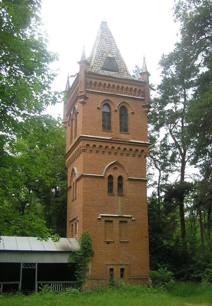 Сорокове з panoramio.com - Сороково