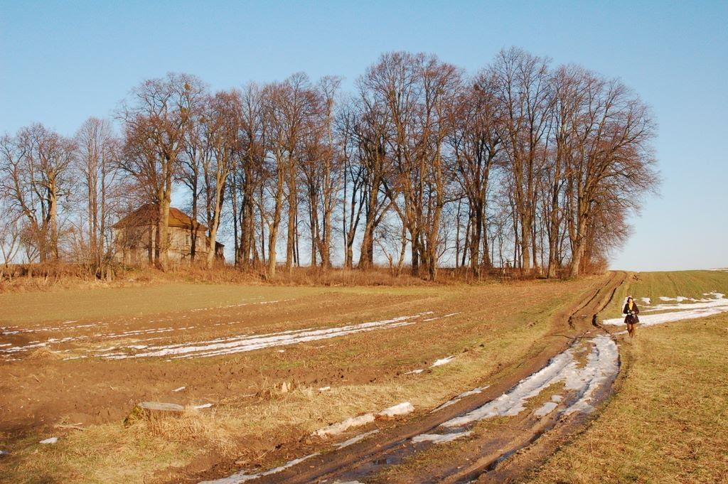 Божа Воля з panoramio.com - Божа Воля