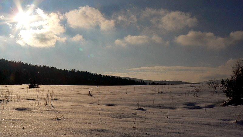 Біньова з panoramio.com - Біньова