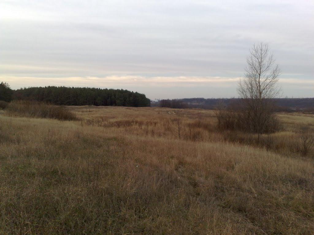 Кочеток з panoramio.com - Кочеток