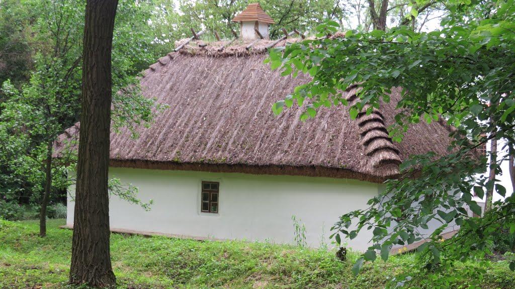 Тараща з panoramio.com - Тараща