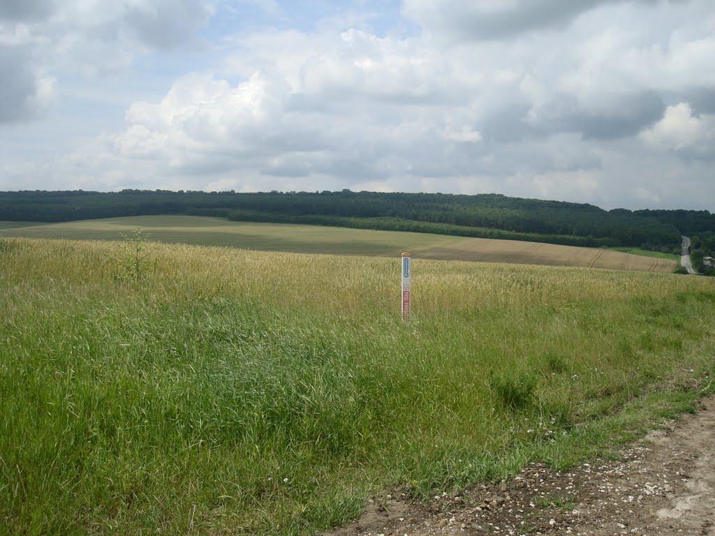 Івахнівці з panoramio.com - Івахнівці