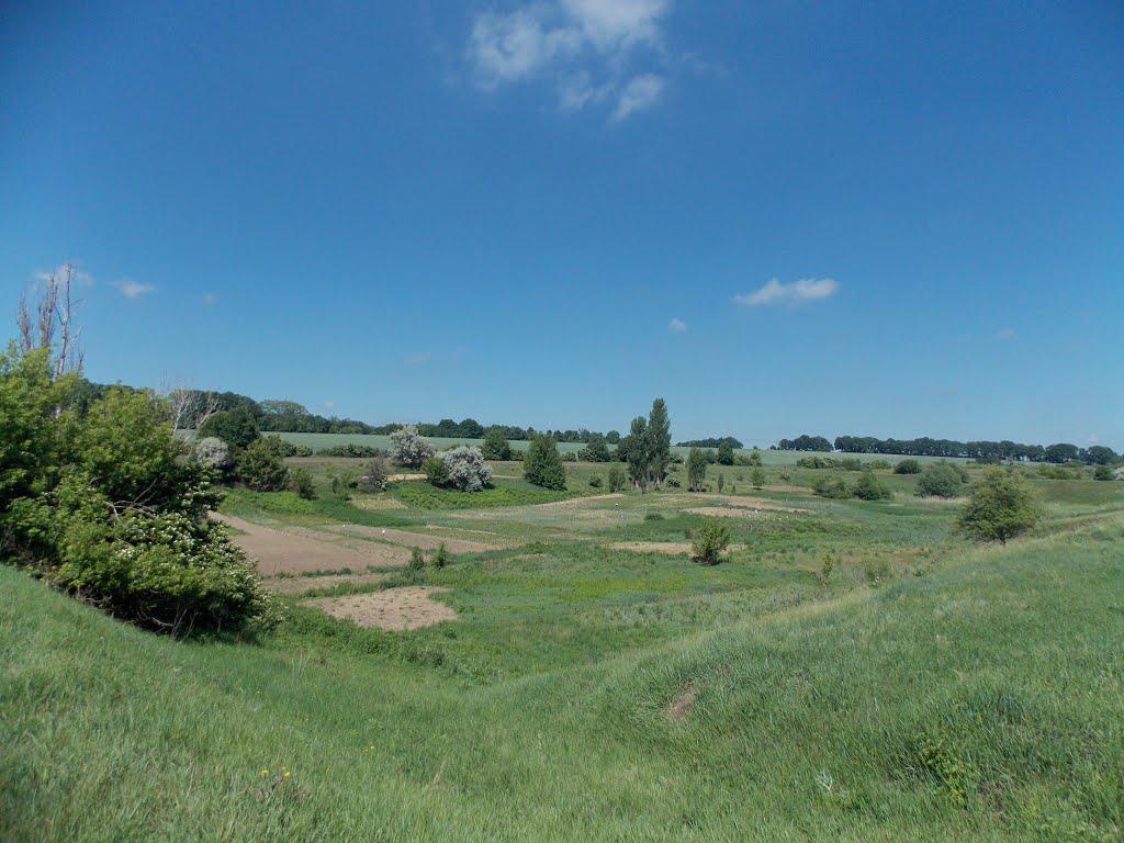 Млинки з panoramio.com - Млынки