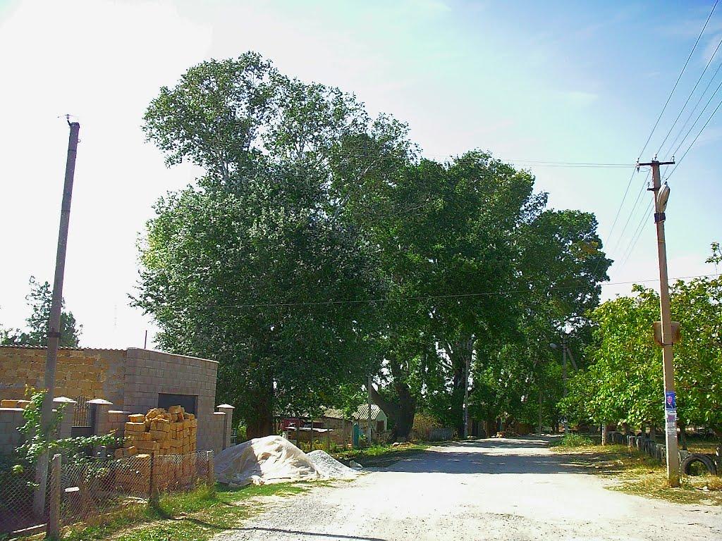 Кочергіне з panoramio.com - Кочергіне