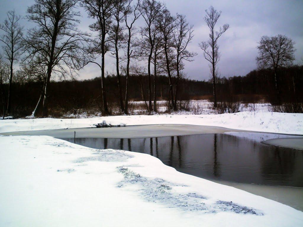 Мартинівка з panoramio.com - Мартинівка