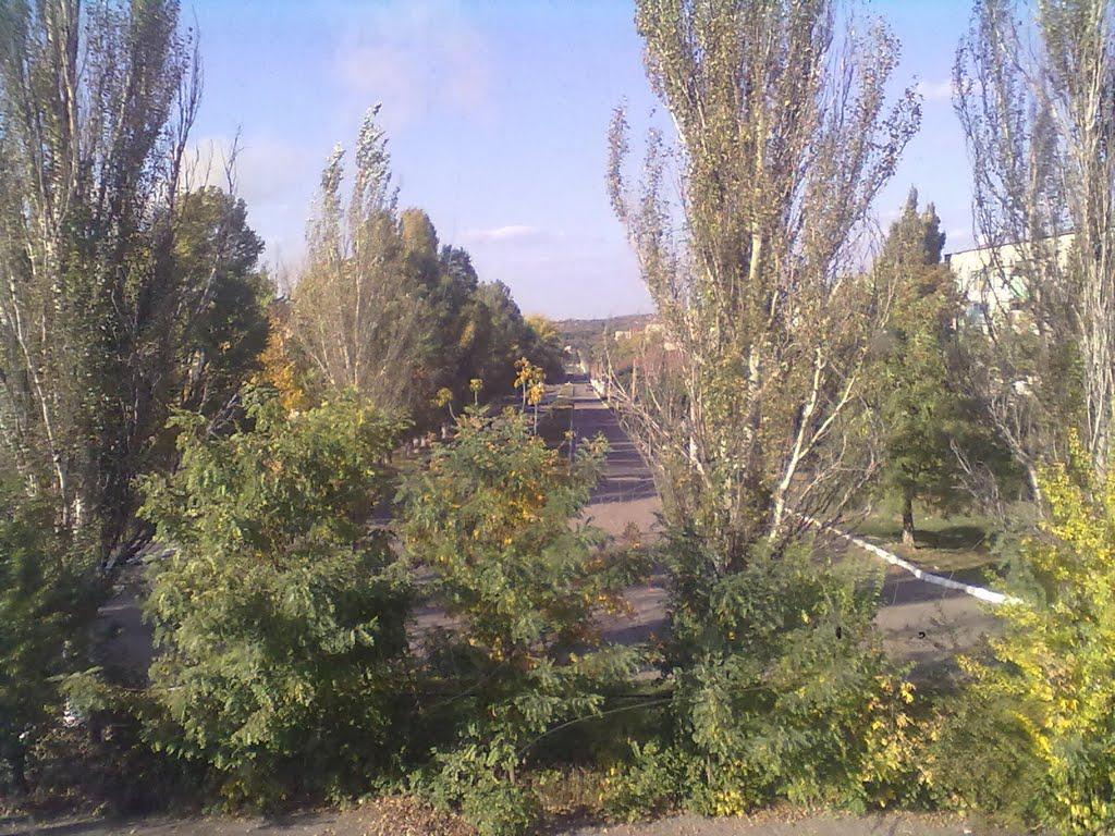 Миколаївка з panoramio.com (ч.2) - Николаевка