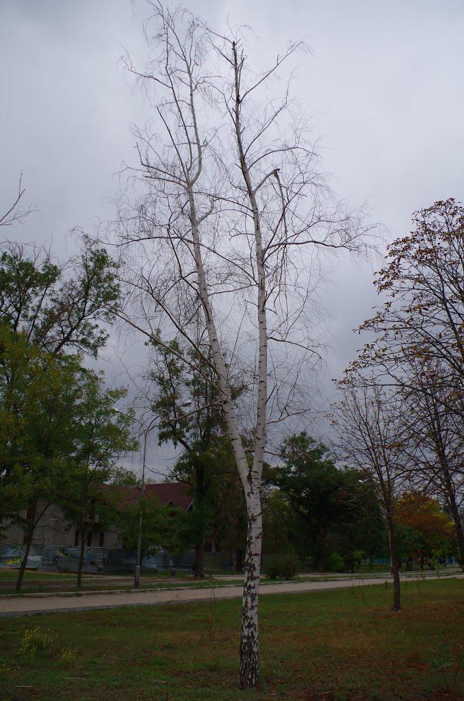 Нікополь з panoramio.com (ч.2) - Никополь