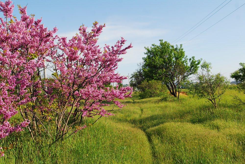 Осипенко з panoramio.com - Осипенко