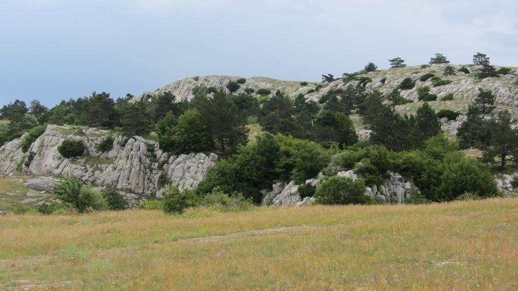 Охотниче з panoramio.com (ч.3) - Охотничее