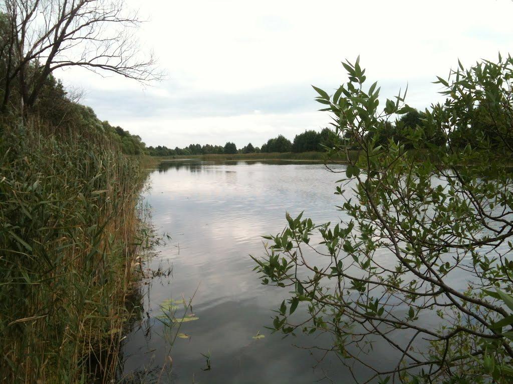 Любитове з panoramio.com - Любитово