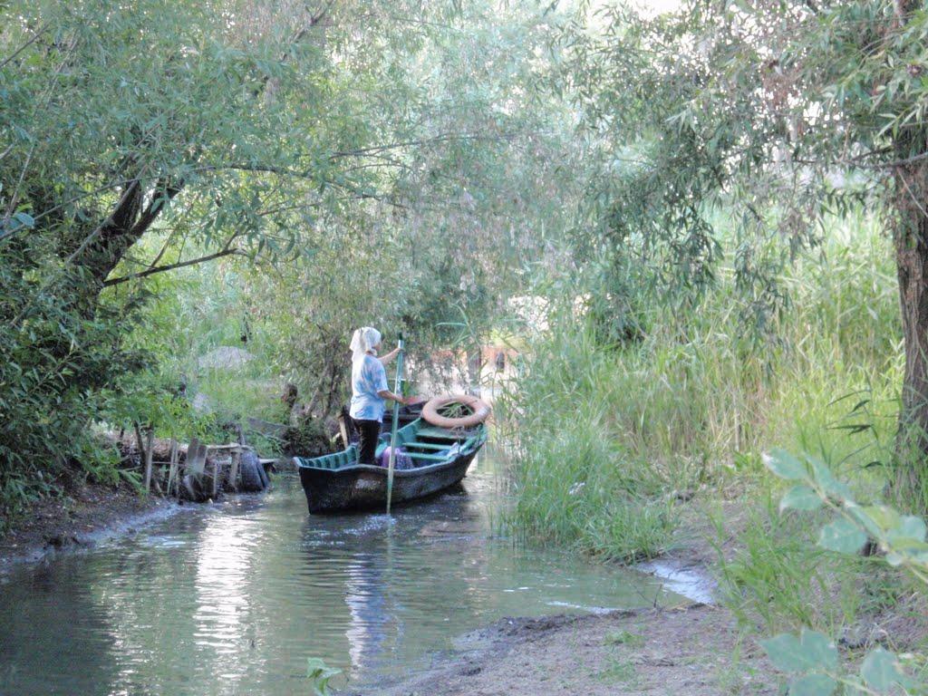 Вилкове з panoramio.com (ч.2) - Вилкове