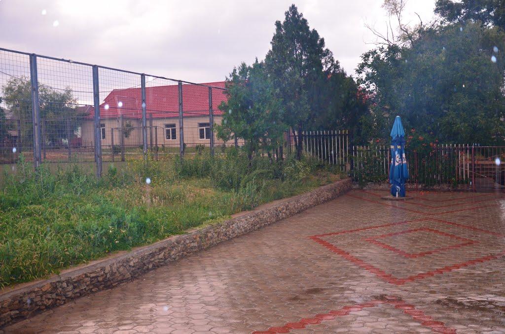 Петрівка з panoramio.com - Петровка
