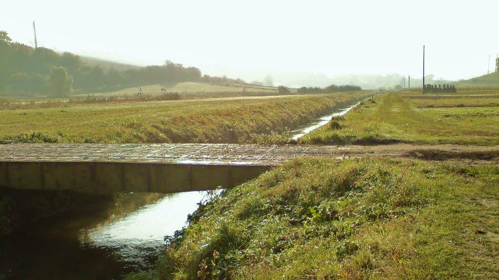 Рогачин з panoramio.com - Рогачин