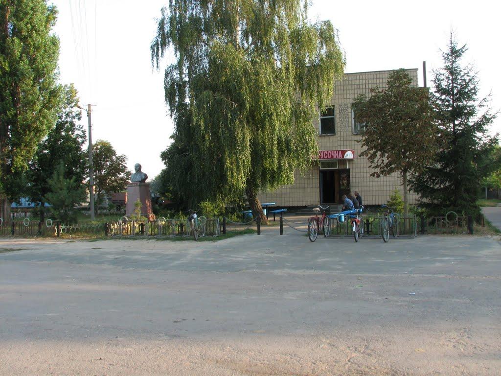 Куковичі з panoramio.com - Kukovychi