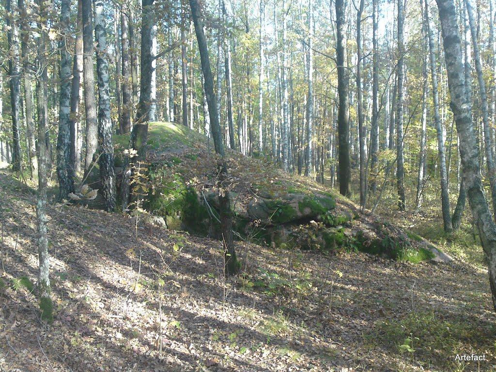 Замисловичі з panoramio.com - Замисловичі