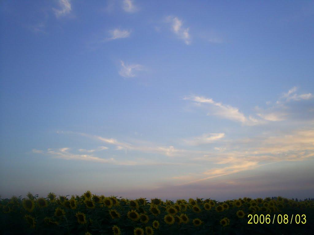 Відножине з panoramio.com - Відножине