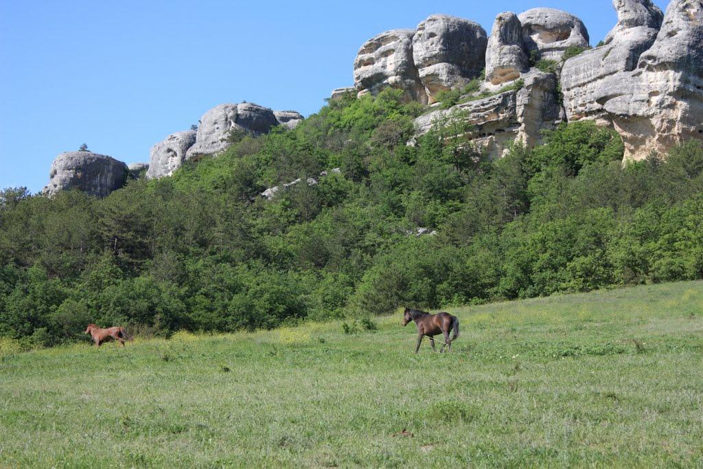 Залісне з panoramio.com (ч.2) - Залесное
