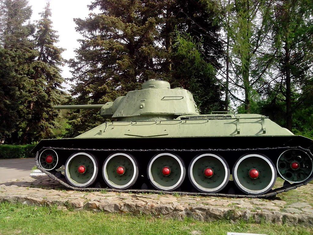 Старі Петрівці з panoramio.com - Старі Петрівці