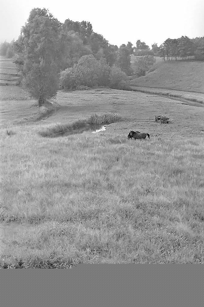 Нікополь з panoramio.com (ч.2) - Никополь