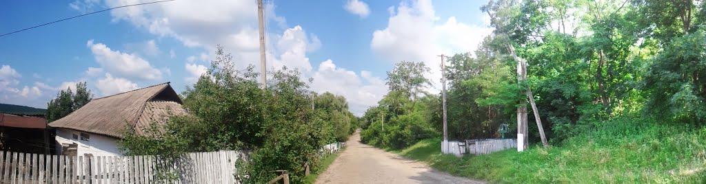 Червона Гребля з panoramio.com - Попова Гребля