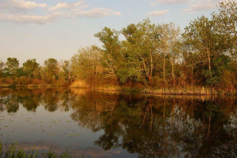 Плавещина з panoramio.com - Плавещина